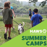 HAWS Summer Camp